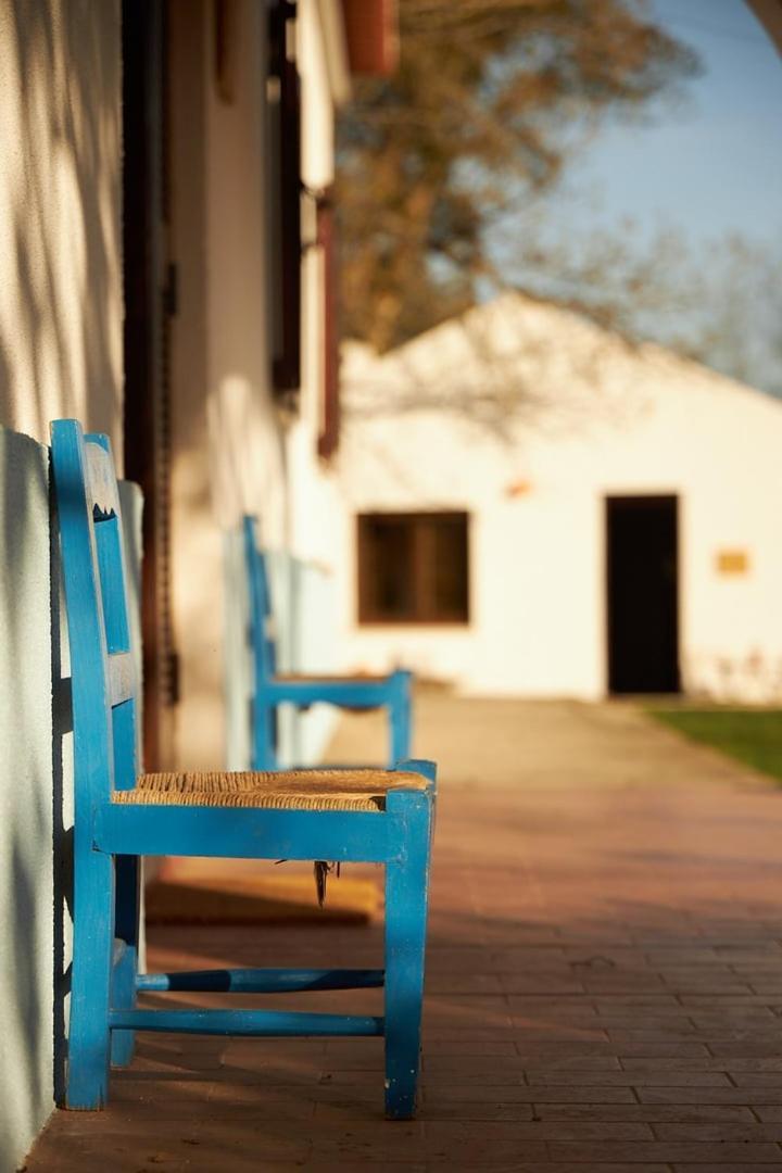 Quinta Do Marmeleiro - Casa Marmeleiro Villa Santiago do Cacém Exteriör bild