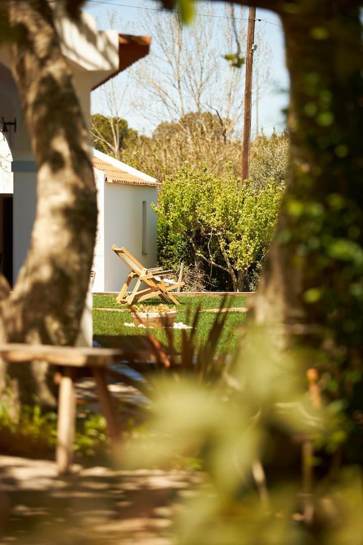 Quinta Do Marmeleiro - Casa Marmeleiro Villa Santiago do Cacém Exteriör bild