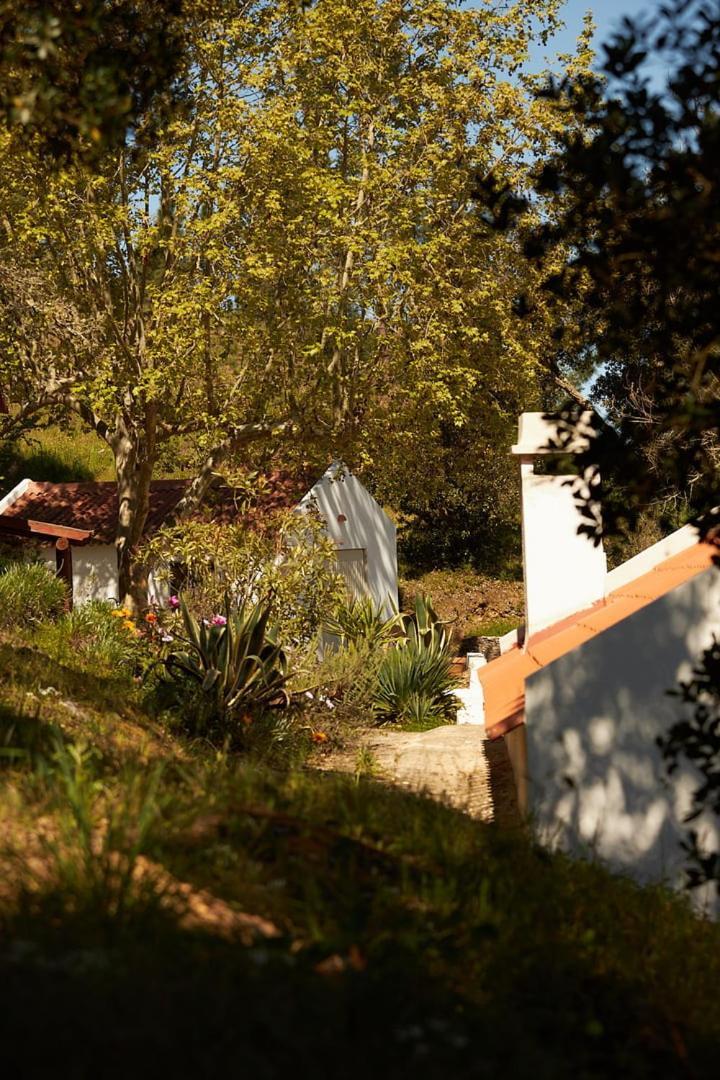 Quinta Do Marmeleiro - Casa Marmeleiro Villa Santiago do Cacém Exteriör bild