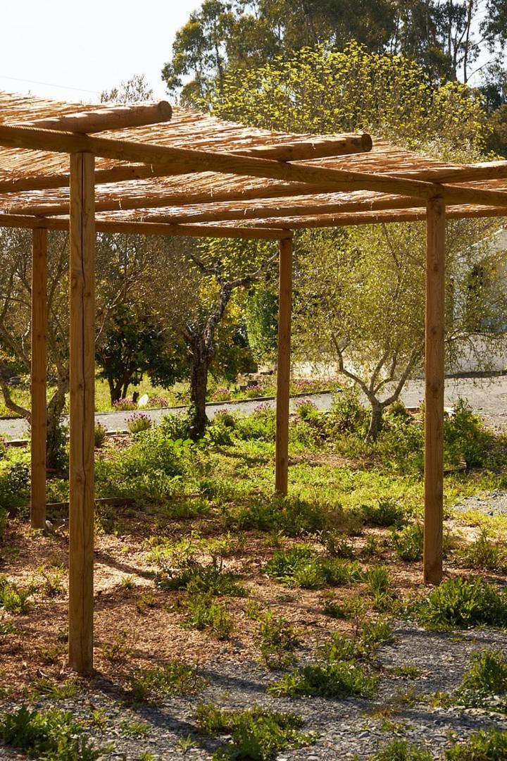 Quinta Do Marmeleiro - Casa Marmeleiro Villa Santiago do Cacém Exteriör bild