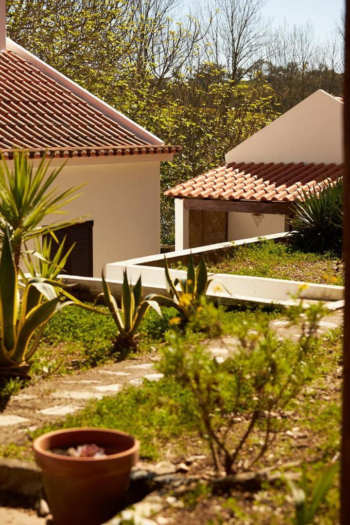 Quinta Do Marmeleiro - Casa Marmeleiro Villa Santiago do Cacém Exteriör bild