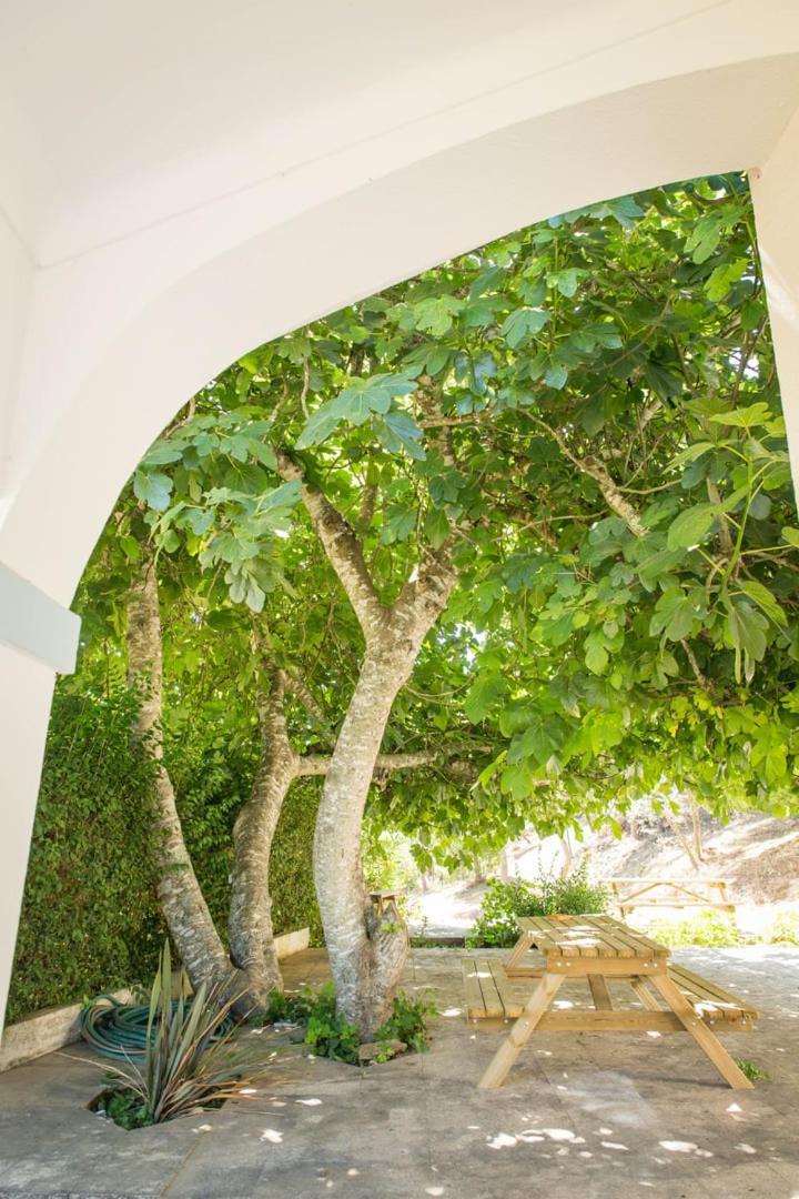 Quinta Do Marmeleiro - Casa Marmeleiro Villa Santiago do Cacém Exteriör bild