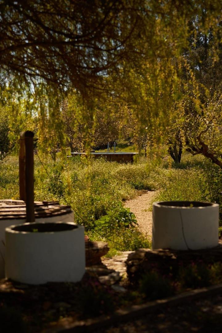 Quinta Do Marmeleiro - Casa Marmeleiro Villa Santiago do Cacém Exteriör bild